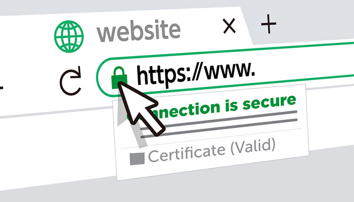 Proteccion de un Dominio Web v001